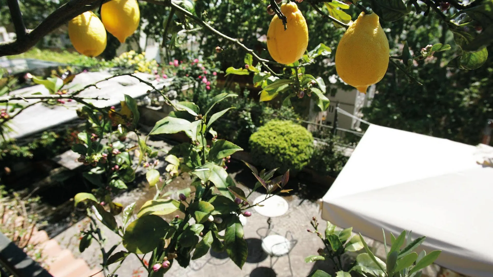 ** Bed & Breakfast Il Boom B&B Roma Italia